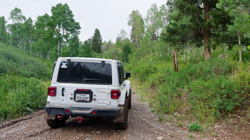 Upper Cedar Hollow Trail Review Photo