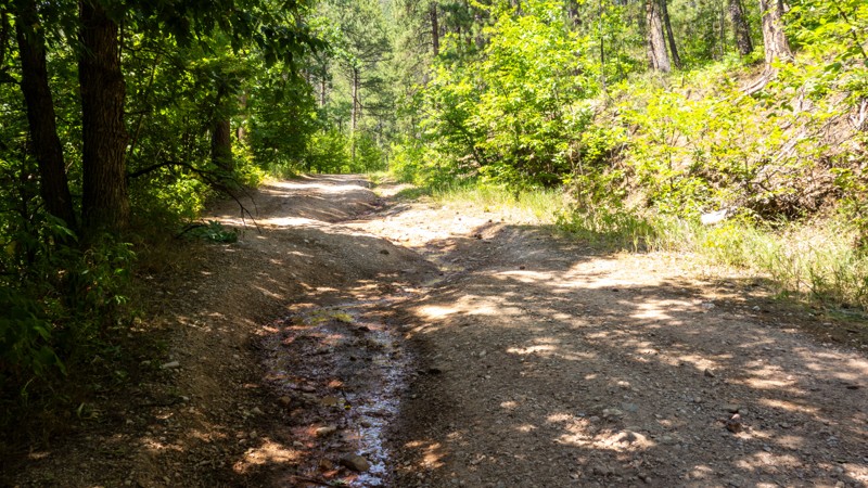 Bethlehem Road Trail Review Photo