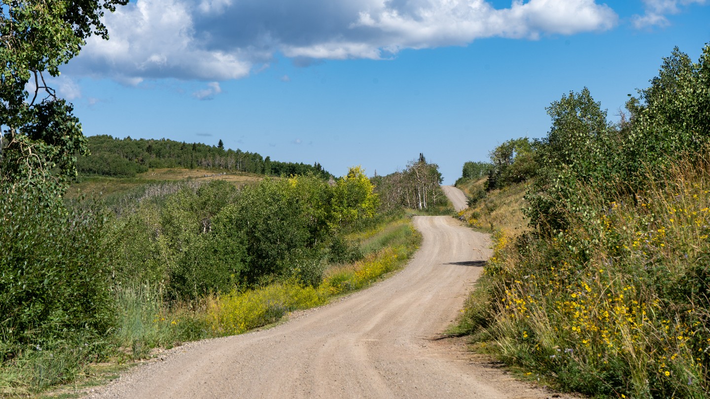 Highlight: https://images-prod.trailsoffroad.com/scout_routes/568/hero_file_name/1661296067633_resizedDivideRoad00062.jpg