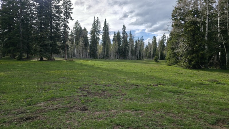 Divide Road Trail Review Photo