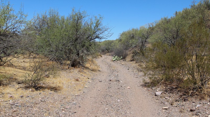 Trilby Wash to Anderson Mill Trail Review Photo