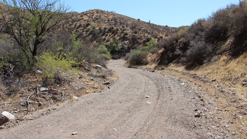 Trilby Wash Trail Review Photo