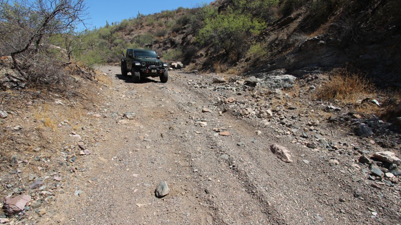 Trilby Wash Trail Review Photo