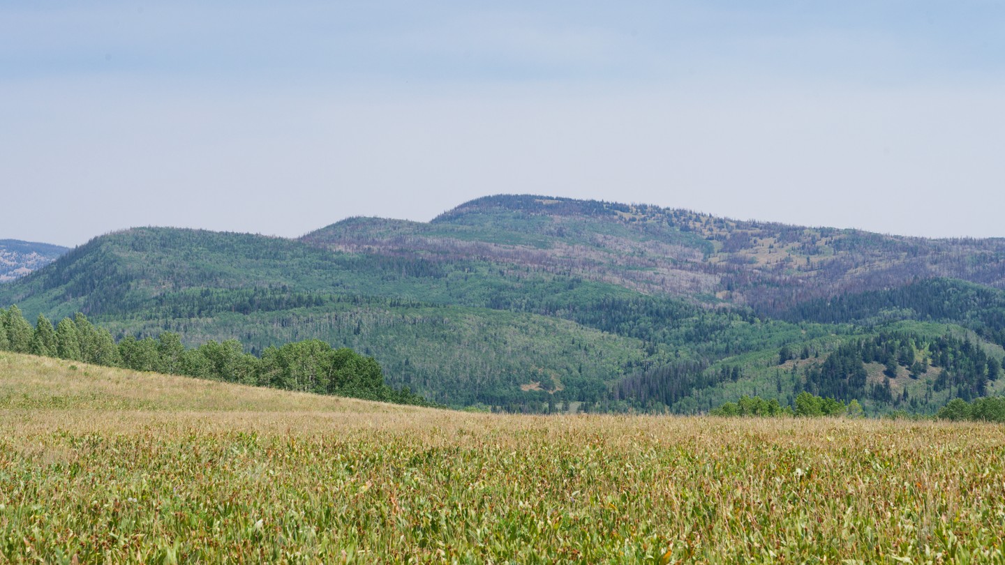 Hero: Nobletts Ridge