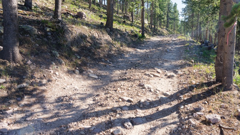 Alexander Loop & Spur Trail Review Photo
