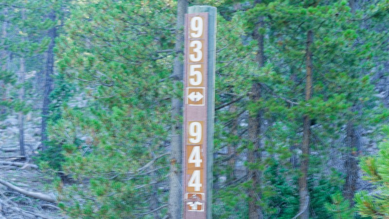 Spring Canyon 1 Trail Review Photo