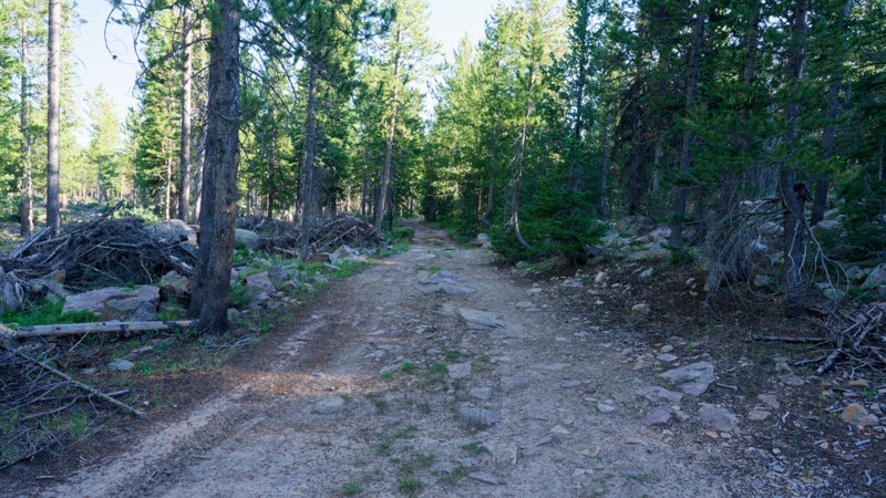 Spring Canyon 1 Trail Review Photo