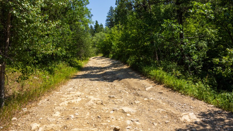 Runkle Road Trail Review Photo