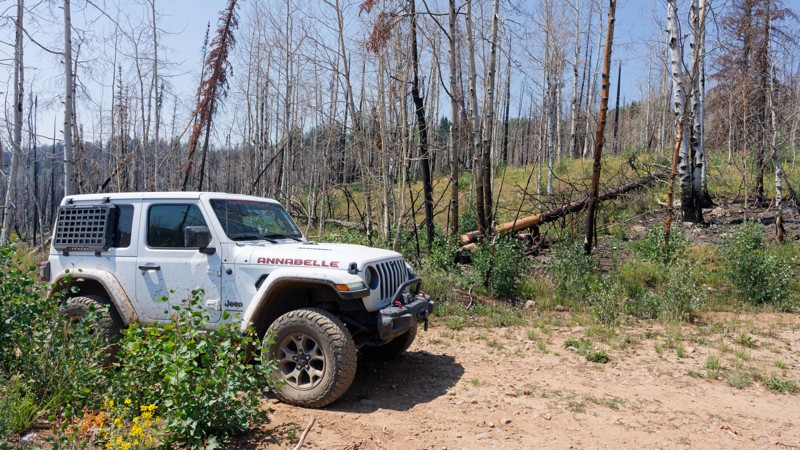 Lambert Burn Trail Review Photo