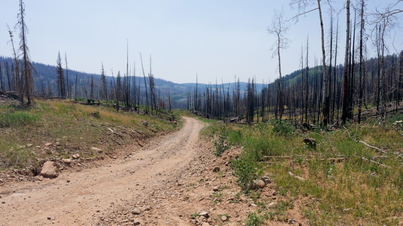 Lambert Burn Trail Review Photo