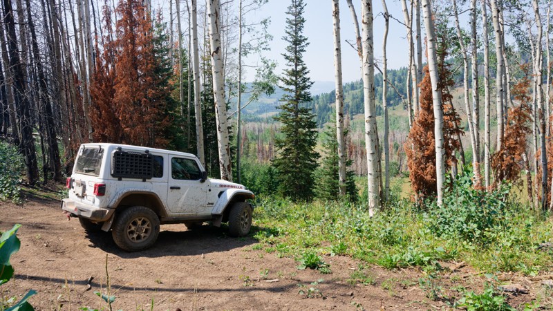 South Draw Soapstone Trail Review Photo