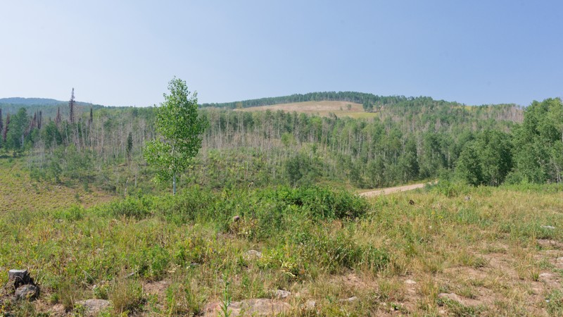 Utah: Lower Dry Hollow Hero Photo