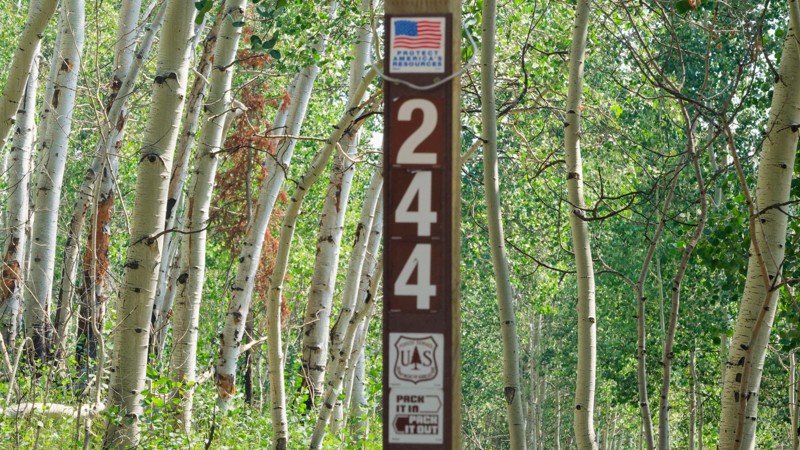 Lower Dry Hollow Trail Review Photo