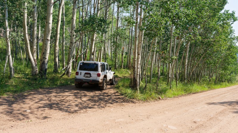 Lower Dry Hollow Trail Review Photo