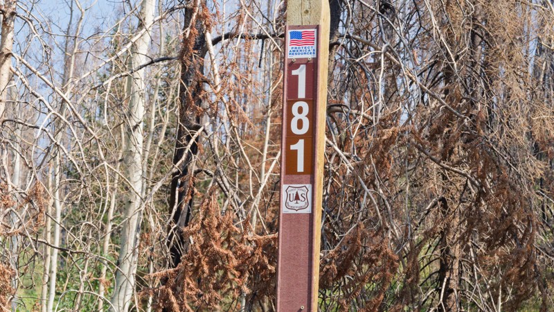 Dry Hollow Road Trail Review Photo