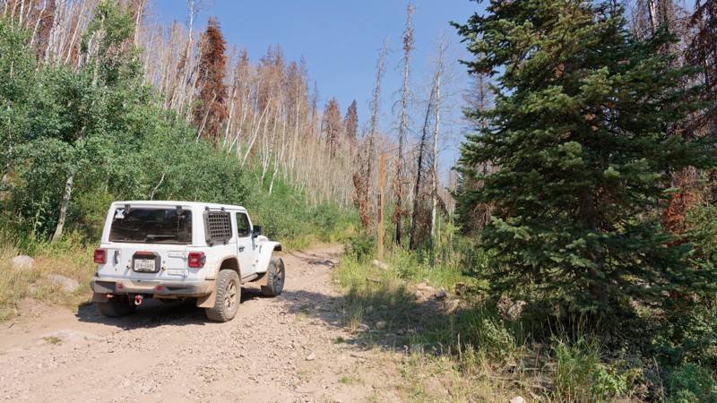 Dry Hollow Road Trail Review Photo
