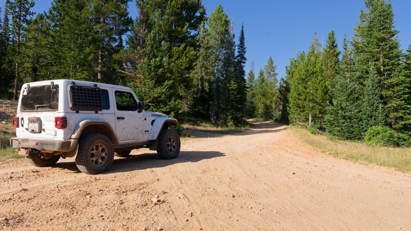 Little Pond Road Trail Review Photo