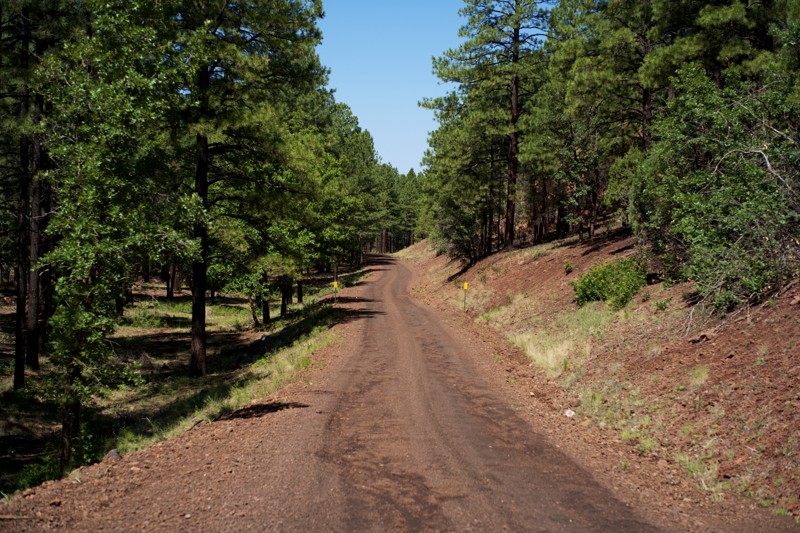 Dipping Vat Trail Review Photo