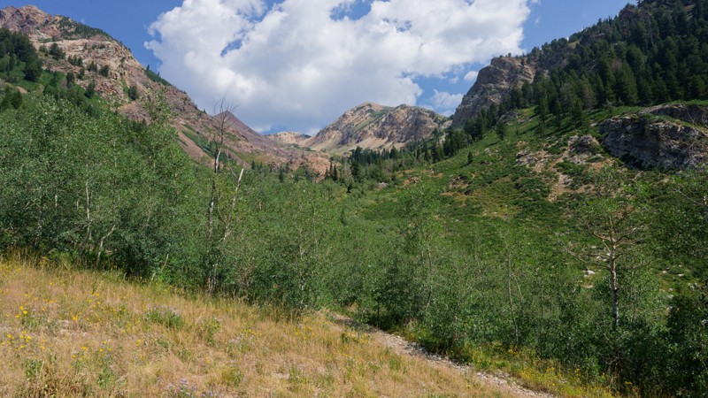 Milk Maid Trail Review Photo