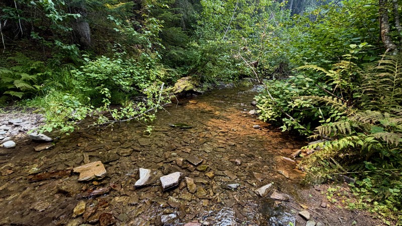West Fork Steamboat Creek Trail Review Photo