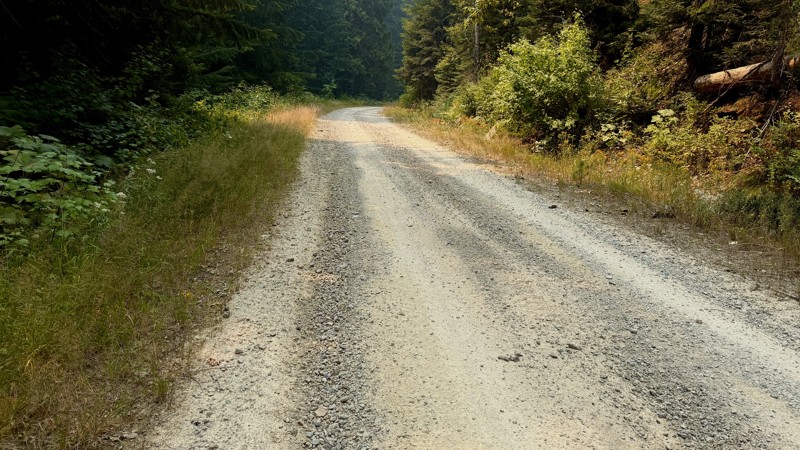 West Fork Steamboat Creek Trail Review Photo