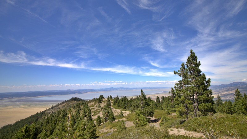 Sugar Hill Lookout Trail Review Photo