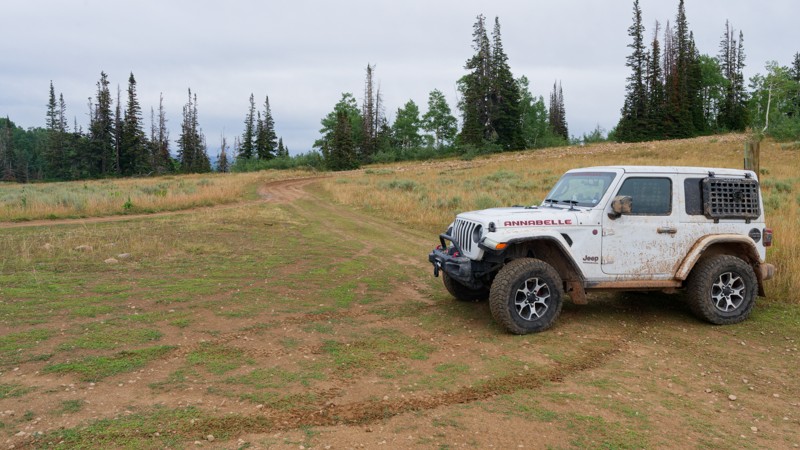 Strawberry Mountain Trail Review Photo