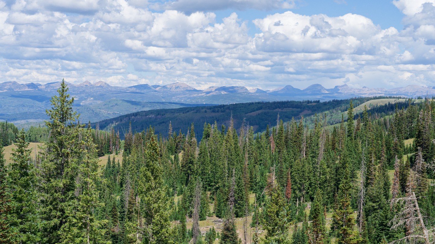 Hero: Heber Mountain