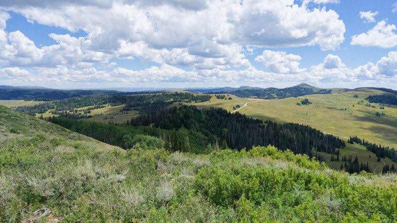 Heber Mountain Spur 1 Trail Review Photo