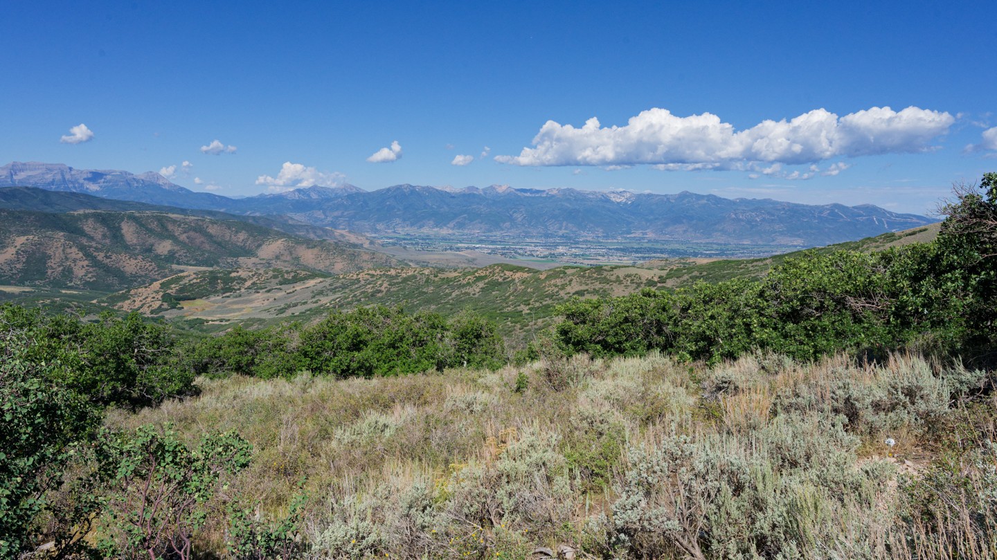 Hero: Center Creek Road