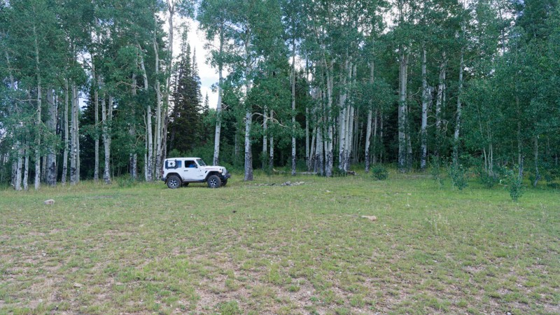 Box Springs Trail Review Photo