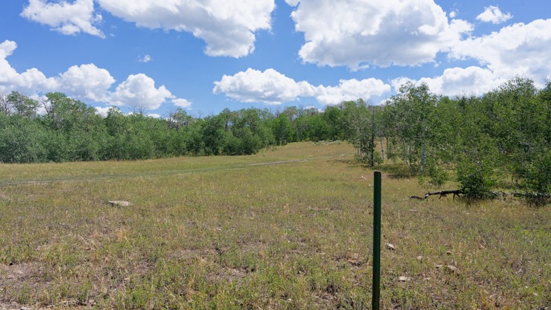 Hogs Back Road Trail Review Photo