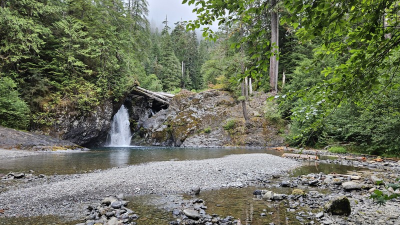 Washington: Wynoochee Loop Hero Photo