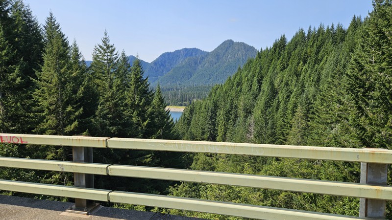 Wynoochee Loop Trail Review Photo