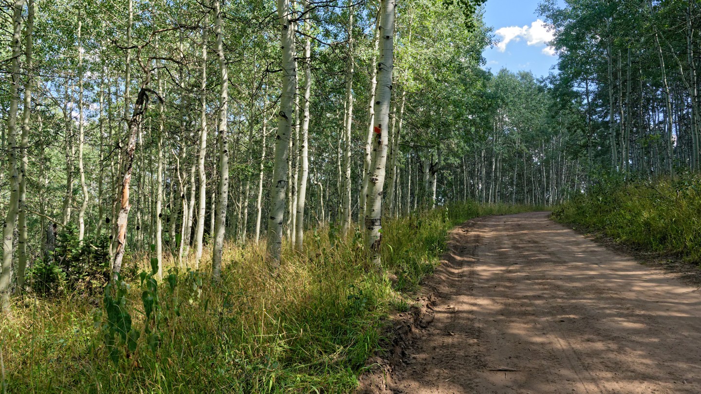 Hero: Upper Mud Creek