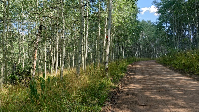 Utah: Upper Mud Creek Hero Photo