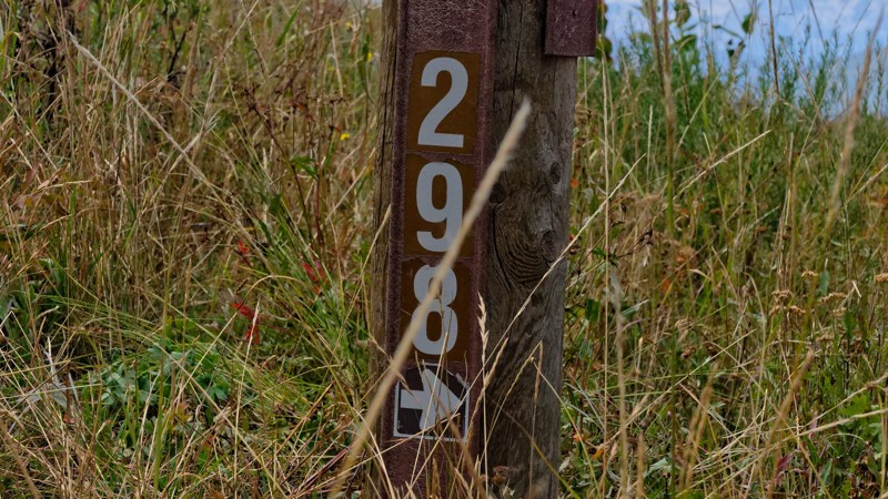Upper Mud Creek Trail Review Photo