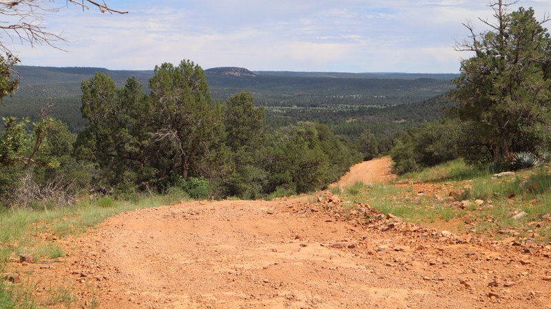 PV Wilson Trail Review Photo