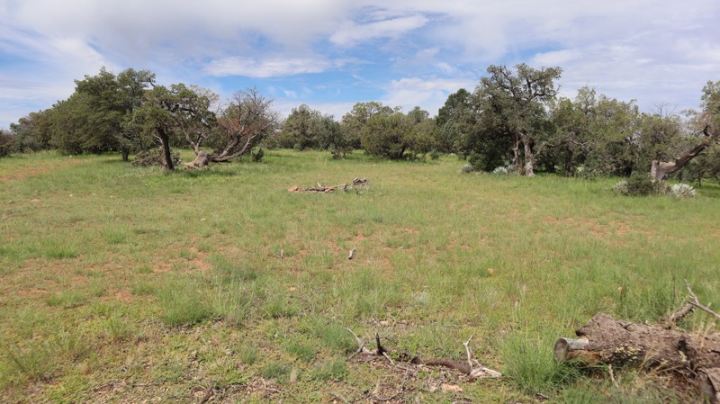 PV Wilson Trail Review Photo