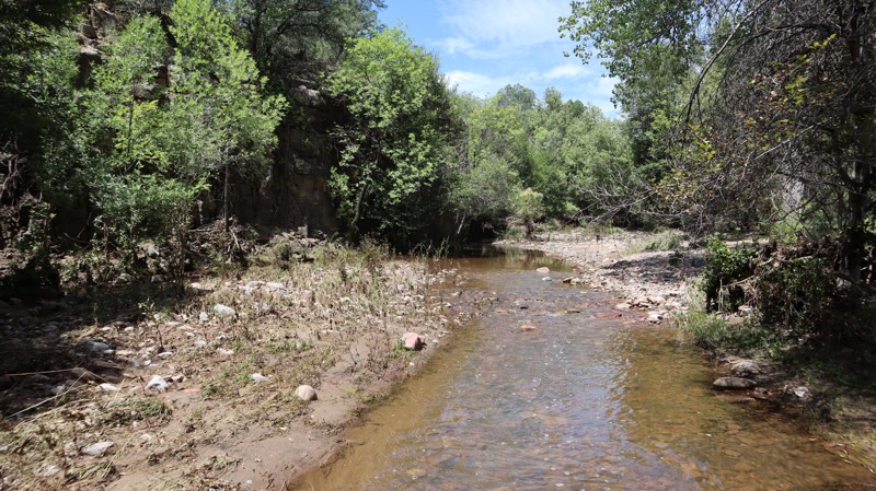 Cow Flat Road Trail Review Photo