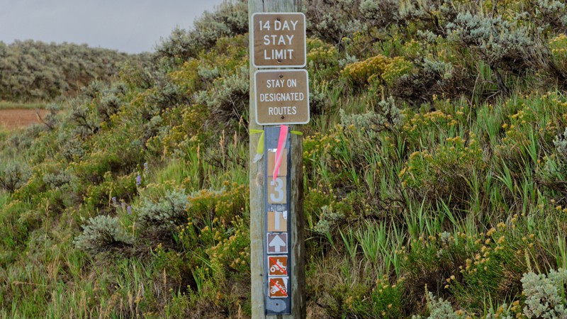 West Side Strawberry Trail Review Photo