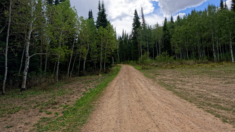 Strawberry Ridge & Indian Springs Trail Review Photo