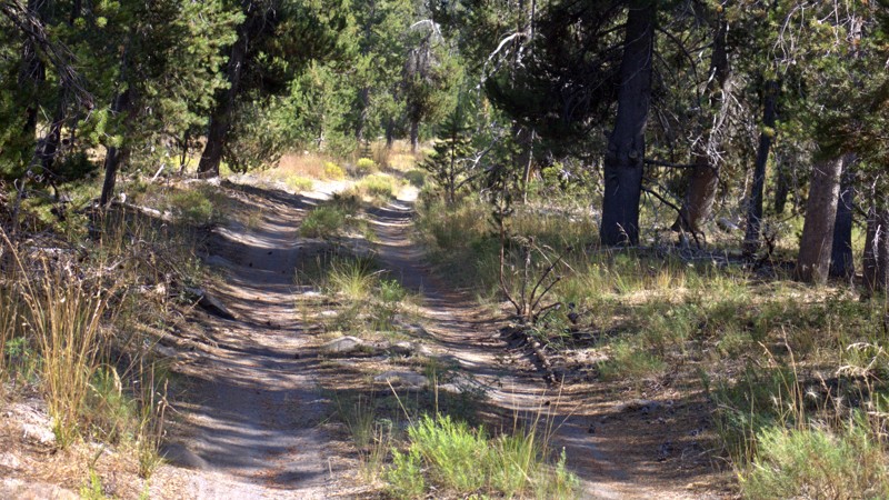 Military Pass Trail Review Photo