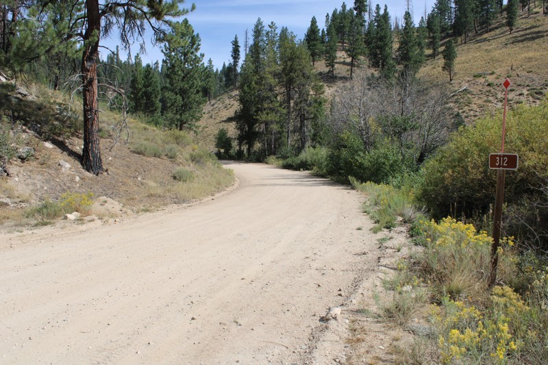 Pike's Fork Road Trail Review Photo