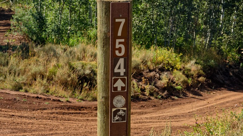 Willow Creek Ridge Trail Review Photo