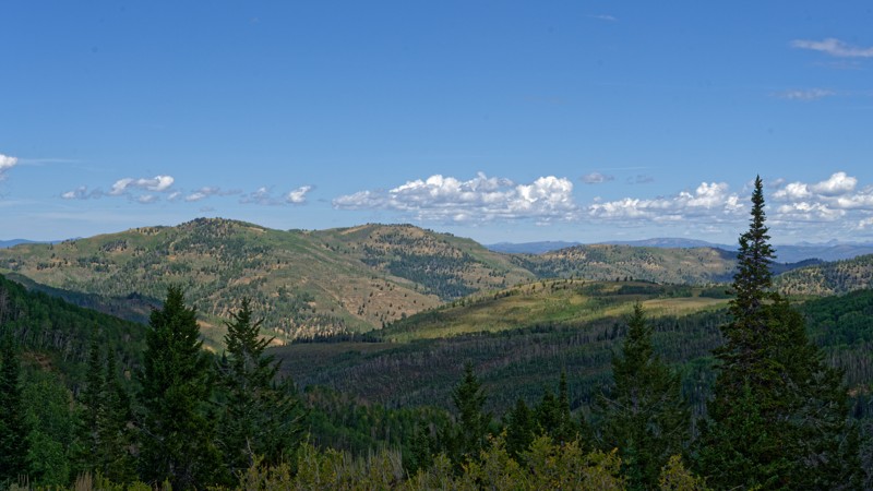 Willow Creek Ridge Trail Review Photo