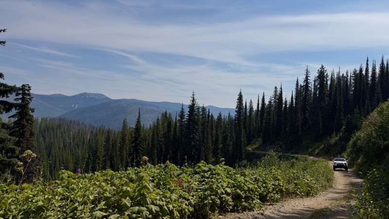 Montana: Cedar Creek / Red Ives Creek Road Hero Photo