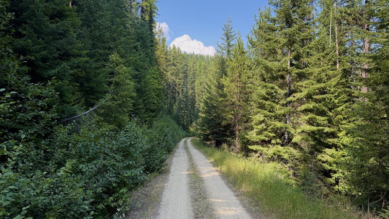 Idaho: East Fork Gold Creek Hero Photo
