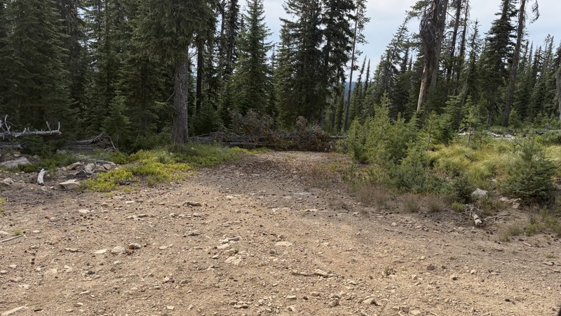 East Fork Gold Creek Trail Review Photo