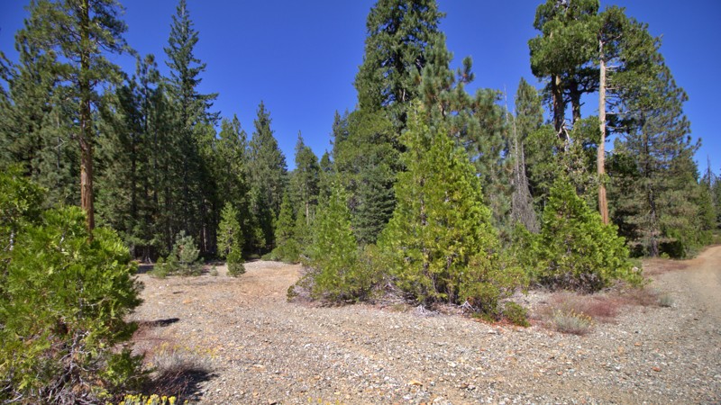 41N53 North Fork Trail Review Photo